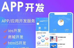 APP軟件開發公司哪家好？