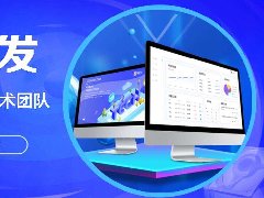 模板和定制商城APP開發費用需要多少錢？