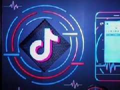 抖音開發一個app要多少錢