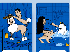 ?成功的寵物APP開發(fā)的重要方面