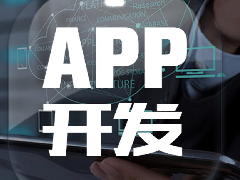 體育休閑APP開發方案全面分析